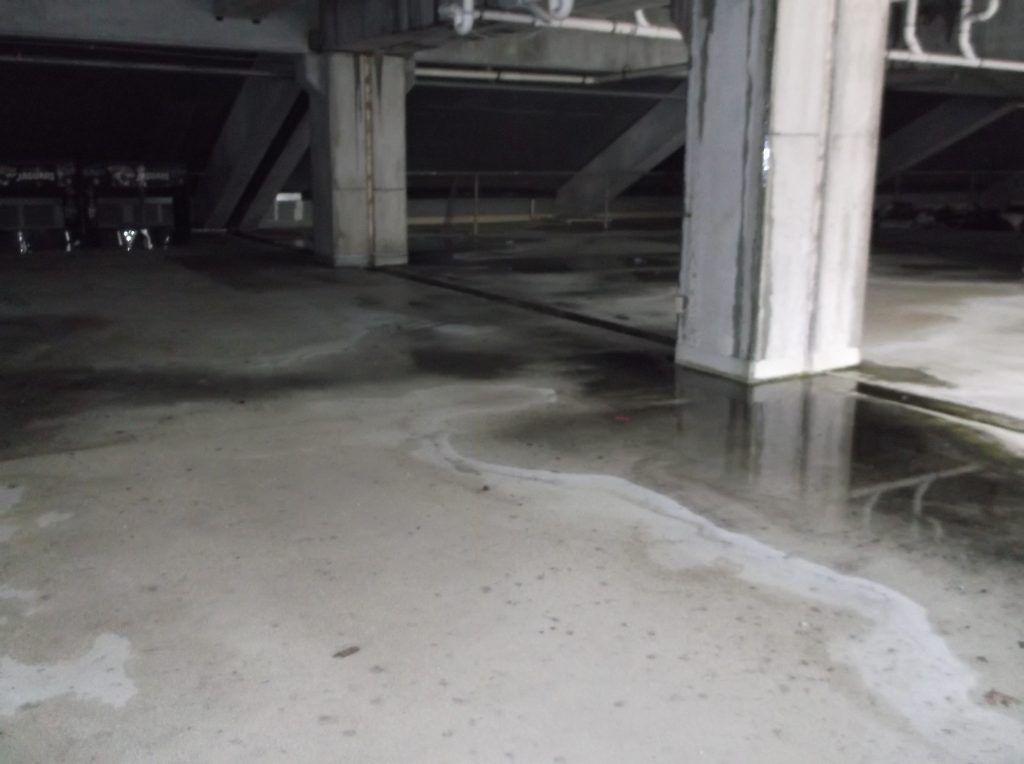 Hodges Stadium Univ North Florida Resto ponding